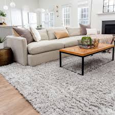 Ash 12 2 X 15 Infinity Shag Rug Rugs Com In 2020 Large Living Room Rugs Shag Rug Living Room Rugs In Living Room