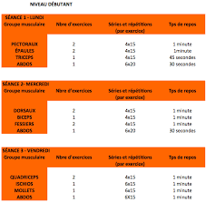 Certains modèles de chaise romaine se composent aussi d'un rack à squat qui sert à réaliser des exercices de fente et des squats. Programme D Entrainement Pour Une Bonne Condition Physique