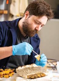 The Preservation Society of Newport County