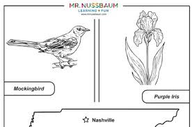 North carolina symbols coloring pages south state super. Mr Nussbaum North Carolina State Symbols