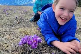 Enjoying Flowers in and out of Season -