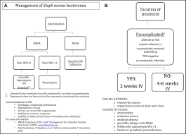 Description bacteremia occurs when bacteria enter the bloodstream. Quality Improvement Of Staphylococcus Aureus Bacteremia Management And Predictors Of Relapse Free Survival The American Journal Of Medicine