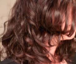 Notre astuce pour gagner du temps : Frises Indisciplines Secs Mes Trucs Et Astuces Pour Les Cheveux Rebelles L Atypique Blog