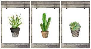 Pin En Drawing Plants