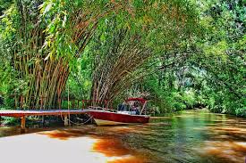 Only 27 km away but it's a whole new world. Delta Eco Lodge Inn Reviews Tigre Argentina Tripadvisor