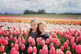 Oregon farm specializing in tulip and daffodil bulbs; Wooden Shoe Tulip Festival Blog Diggity Blog Nanci Imagery Portrait Photographer