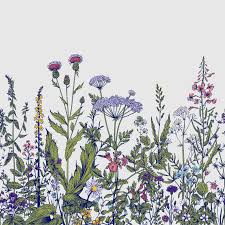 Maybe you would like to learn more about one of these? Gracie Oaks Aayusha Removable Field Prairie Flowers Wall Mural Reviews Wayfair