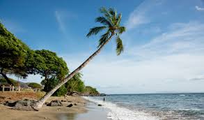 Maybe you would like to learn more about one of these? The Best Island In Hawaii Is Hawaii Magazine