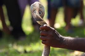 Moses and the staff that turned to a snake coloring page. Moses Stick Shefalitayal