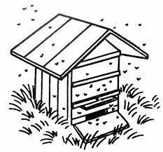 ruche abeilles jpg dessins pour les enfants abeille dessin coloriage art coloriages simples