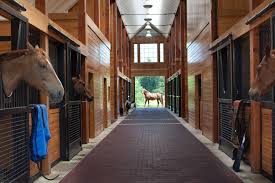 If you're looking for diy horse barn organization and diy tack room ideas, you've come to the right place! Horse Barn Houzz