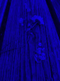 Free shipping on orders over $25 shipped by amazon. Feelingbluee Tumblr Blog Tumgir