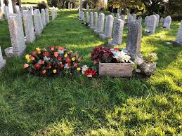 You are not allowed to pick these flowers. Vicar Orders Grieving Family To Remove Flowers From Mum S Grave In Devon Devon Live