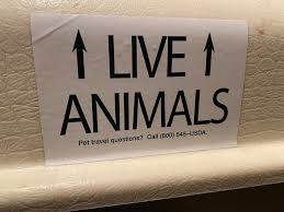 Certificate for international pet travel. Facebook