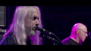 Dinosaur Jr Feel The Pain Youtube