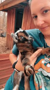 3 different litters all grouped by siblings or the single one. They are all  born within a week of each other. And found them asleep together like this. 