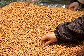 Apr 22, 2021 · peanuts need a lot of space to spread out (more on that below), so give them between 12 and 18 inches of space. Peanut Wikipedia
