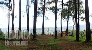 We did not find results for: Jemur Adventure Park