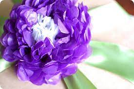 Even though the tissue paper flowers seemed pretty easy, before i got started, i headed over to momadvice, and found out exactly how amy made her tissue paper flowers. Tissue Paper Flower Tutorial Pretty Prudent