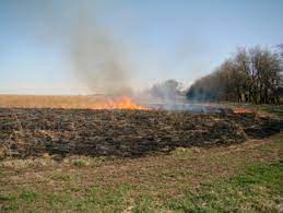 Check spelling or type a new query. Fertilize Cool Season Grasses In February