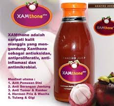 Kupas kulit kencur dan kunyit lalu cuci bersih semua bahan. Jual Herbal Xhamthone Plus Jus Kulit Manggis Di Lapak Sentral Herbal Bukalapak
