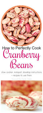 Late summer is high season for shelling beans, so look for them now. Everything You Ve Wanted To Know About Cranberry Beans This How To Cook Cranberry Beans Guide Feat Cranberry Beans Recipe Using Cranberries Cranberry Recipes