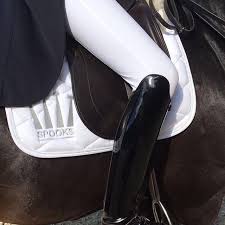 The Best Seat In The House Rideudstyr