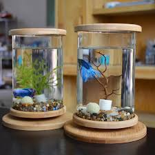 1 Piece Glass Fish Tank Mini For Beta In Bamboo In 2020 Fish Tank Decorations Mini Aquarium Betta Fish Bowl