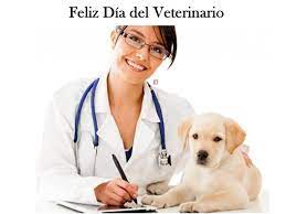 Veterinario • búsqueda entre 90.000+ vacantes actuales en méxico y en el extranjero • rápido & gratis • los mejores empleadores • salario competitivo • trabajo trabajo veterinario. Dia Del Veterinario En Colombia