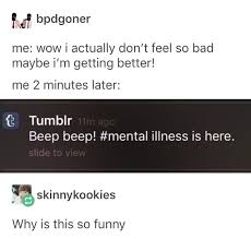 Pin By Pebble On Temperate Memes Funny Memes Tumblr Funny Funny