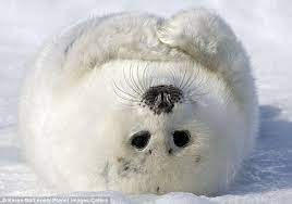 Pin On Great Pics