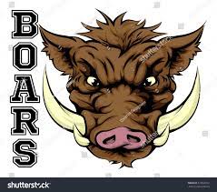 An Illustration Of A Boar Sports Mascot Head With The Word Boars Ad Sponsored Sports Boar Illustration Masco Illustration Logo Design Illustration Design