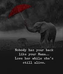 Iraq is still in chaos, our soldiers quote: Nobody Has Your Back Like Your Mama Love Her While Shes Still Alive Mother Quotes Inspirational Quotes Motivation Inspirational Quotes