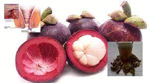Penelitian yang dilakukan terhadap kulit buah tropis yang eksotik ini telah dilakukan oleh bptp sumbar, yang melibatkan 40 tenaga ahli sejak tahun 2008. Lepas Minum Air Rebusan Kulit Manggis Buasir Saya Sembuh Petua Merawat Buasir Dengan Kulit Manggis Yang Ramai Tidak Tahu My Info Berita