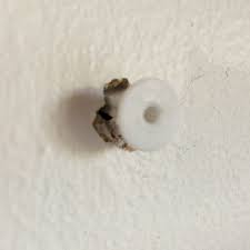 How to fix a hole in the wall reddit. Fix It Friday What To Do If Pilot Holes Are Too Big For Screws Or Anchors