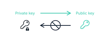 Everyone is incentivized to do the right thing for the betterment of the network. What Are Public Keys And Private Keys Ledger