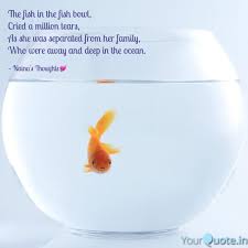 The Fish In The Fish Bowl Quotes Writings By Naina Jani Yourquote