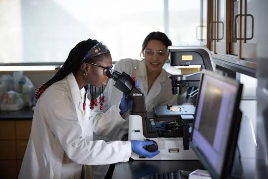 Two researchers in lab coats and safety glasses examine a sample under a microscope