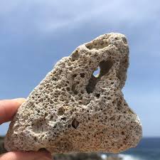 Natural Beach Stone Holes Good Luck Stones Sea Stone Decor Hag Stones Beach Rocks Hole Rocks Sea Rocks Surf Tumbled Hag Stones Stone Decor Beach Stones