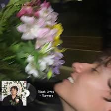 Flowers Languages Name Noah