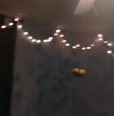 A potato flew around before you came excuse the… spread. A Potato Flew Around On Twitter Me Flying Around Ur Room Http T Co Dad8sncvdq