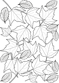 Oct 21, 2021 · printable fall leaves coloring pages 1. Colouring Autumn Leaves Rooftop Post Printables