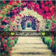 من جديد❤ومن القلب  - صفحة 21 Images?q=tbn%3AANd9GcQOLdMadt1IIK5tW7cHdNf9bbC9bfv8oWmnHw&usqp=CAU