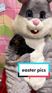 Petsmart Easter Bunny Pics 2025