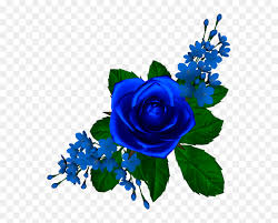 Blue rose full hd wallpapers. Thumb Image Blue Rose Clipart Hd Png Download Vhv