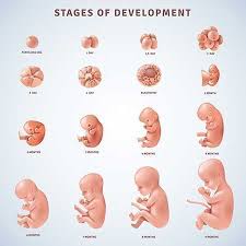 Pin On Group Board Pregnancy Newborns