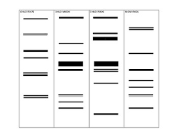 Crime scene investigation, missing person identification, paternity testing, diagnosing genetic disorders, species identification and many others. 35 Dna Fingerprinting Worksheet Answers Worksheet Resource Plans