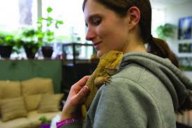 Teaching Animals' Enrich Learning Experience