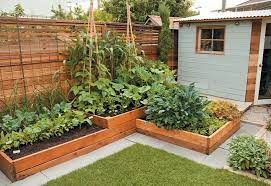 How To Grow A Food Garden In A Small Space Garden Layout Vegetable Backyard Vegetable Gardens Small Vegetable Gardens