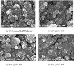 To develop suitable management practices for rearing properties of camels milk and milk fat. Physicochemical Rheological And Micro Structural Properties Of Yogurts Produced From Mixtures Of Camel And Bovine Milks Sciencedirect